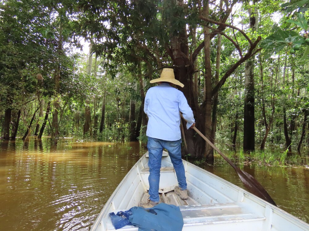 Hospedaje  Reina Arriera Amazonas