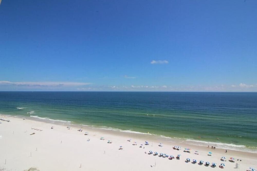 Tradewinds 1305