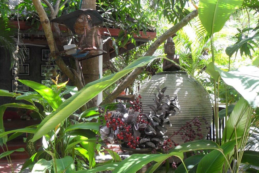Photo 45