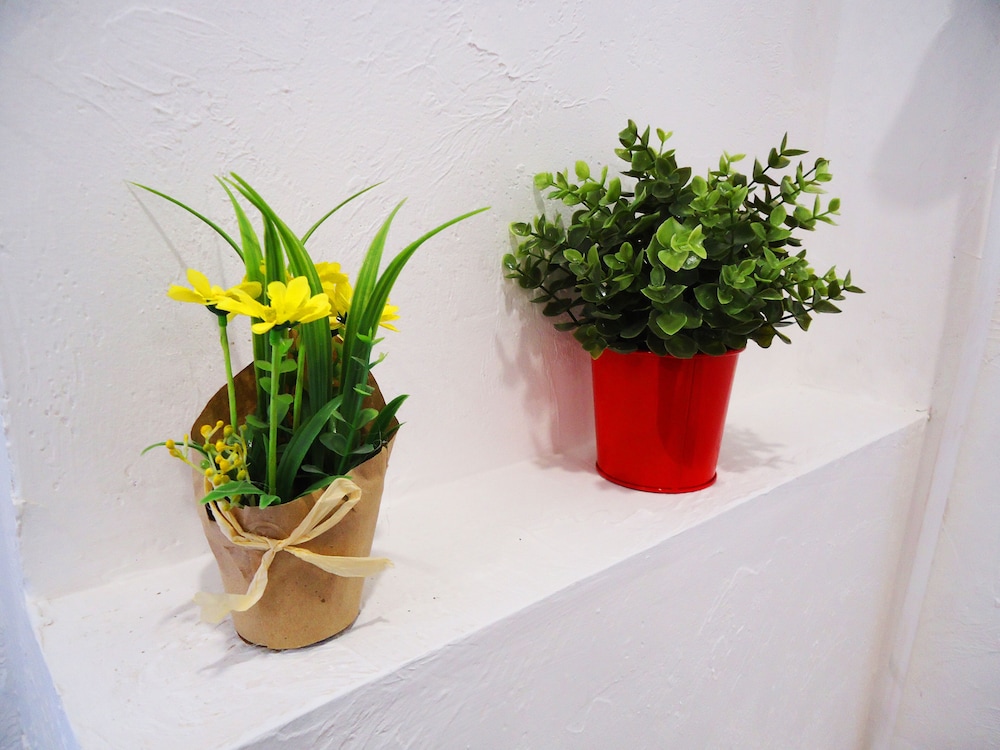 Photo 45
