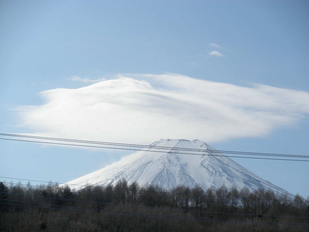 Haranoya