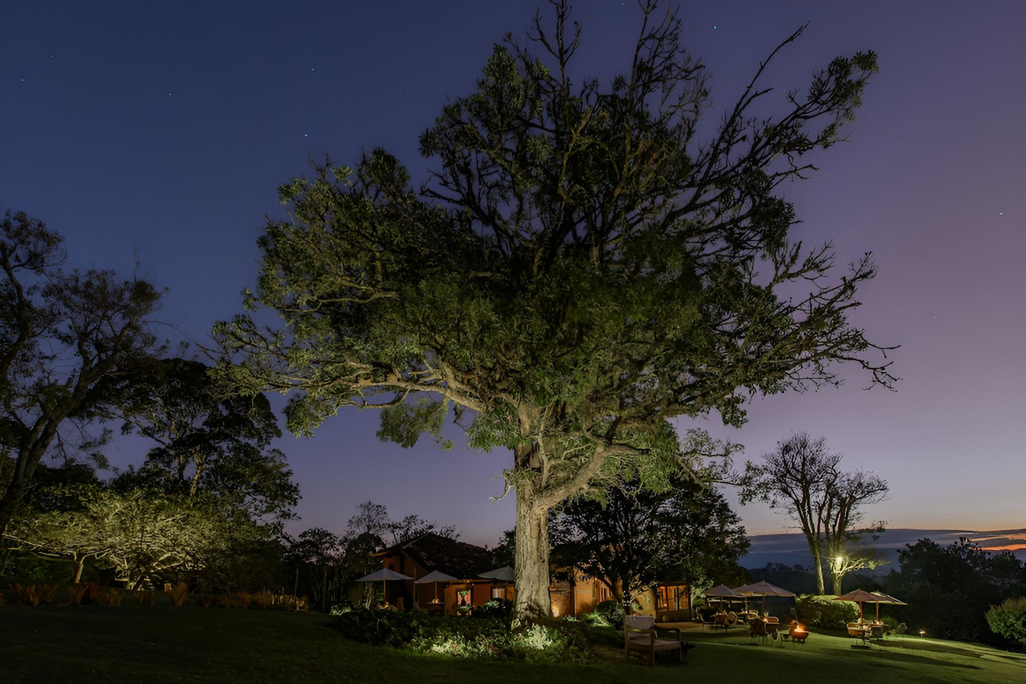 Quinta dos Pinhais
