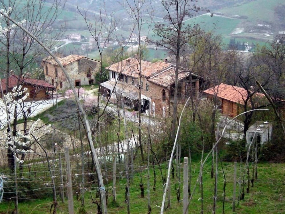 Photo 21