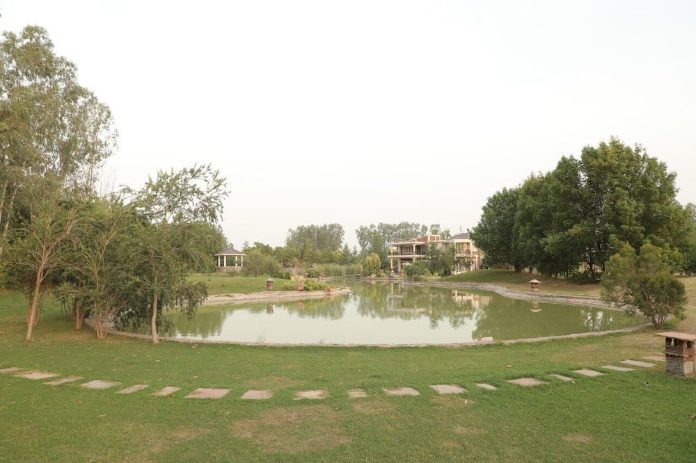 Photo 28