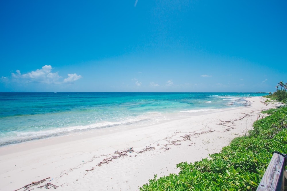 Pink Sand Cottage Cottage - Property Image 14