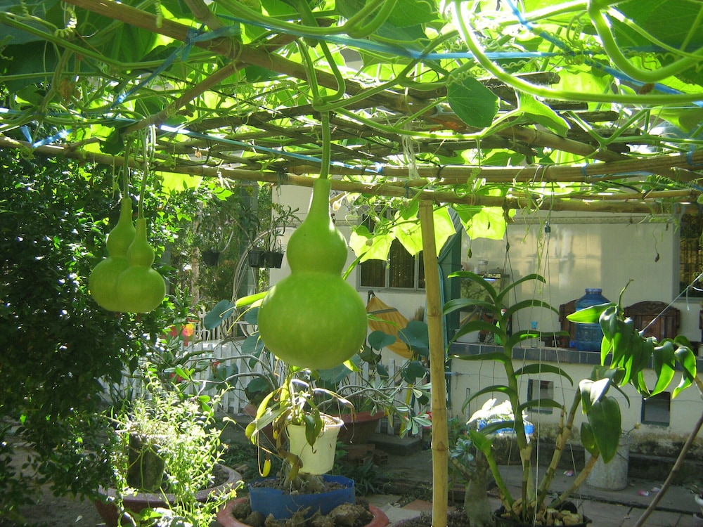 Photo 33