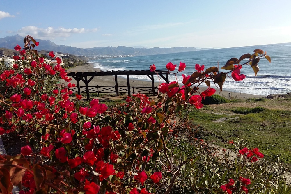 Rincon Tropical in El Pe Oncillo