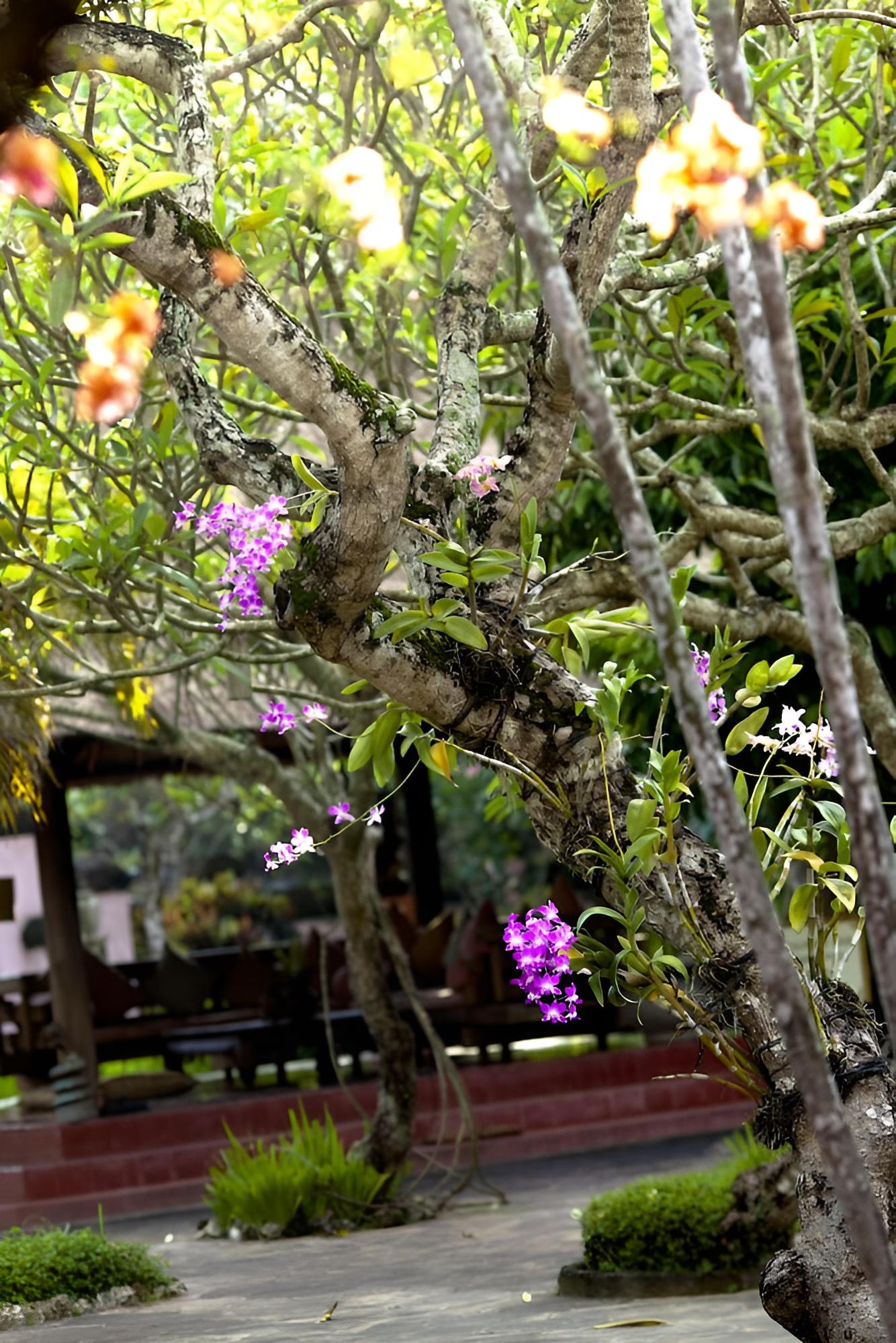 La Taverna Suites