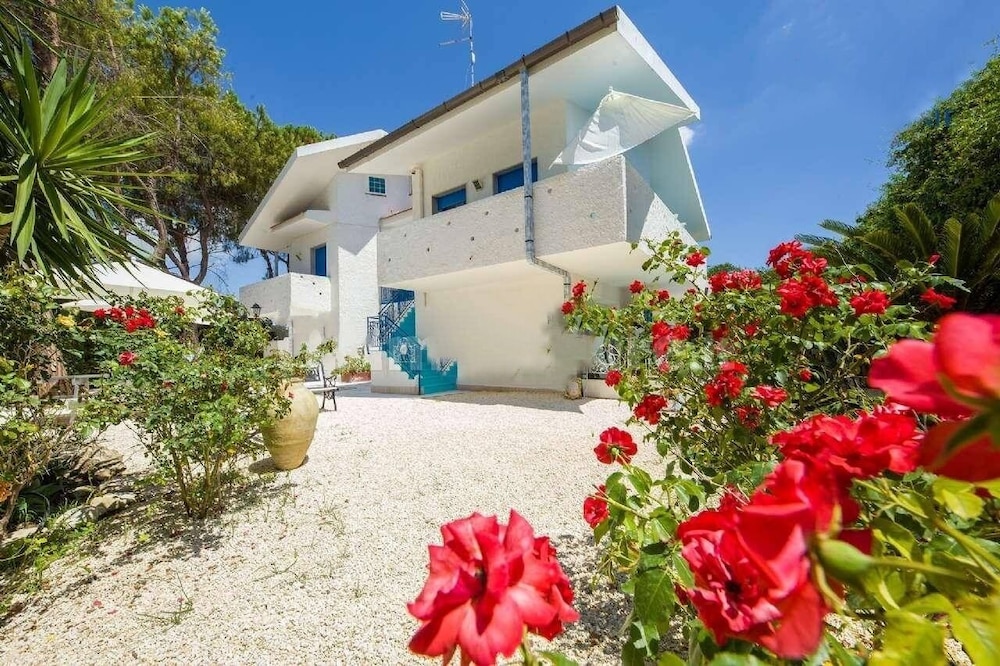 Hotel Suite House L'isola che non c'è - Image 1