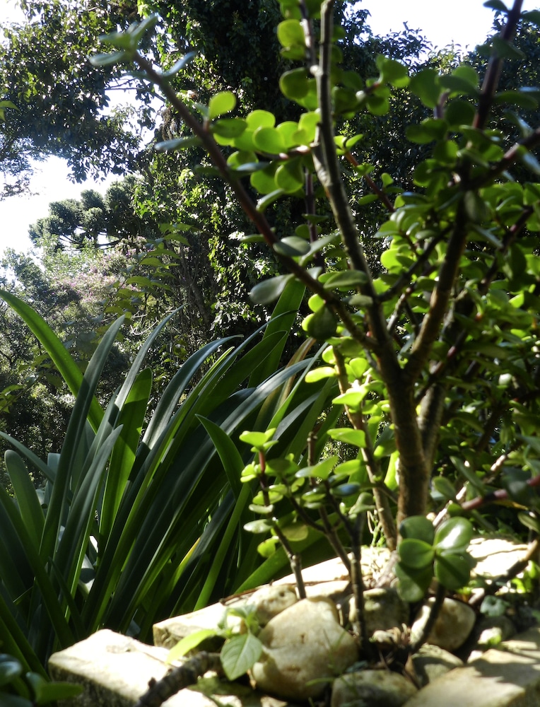 Recanto das Araucarias