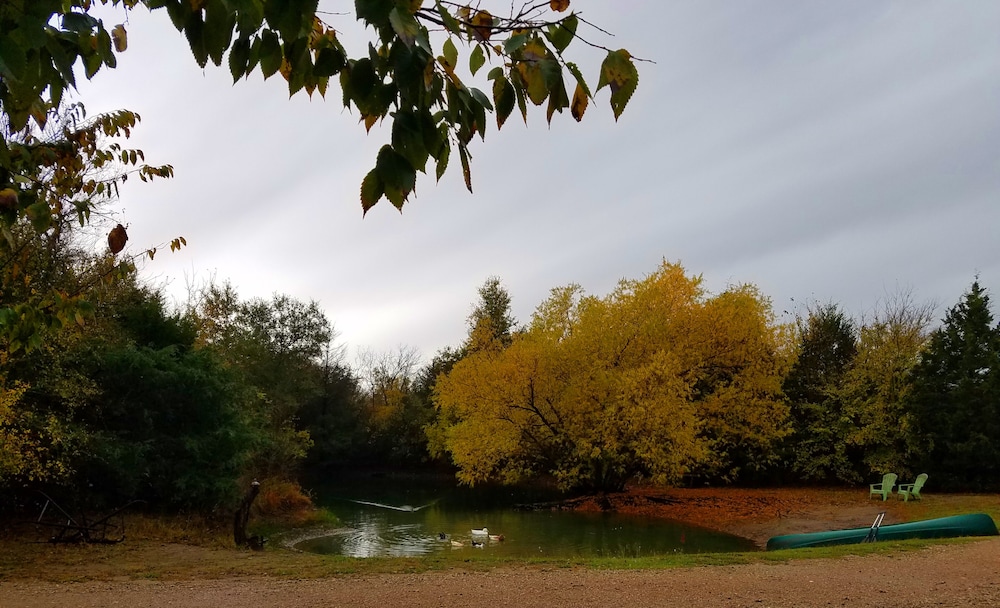 Photo 48
