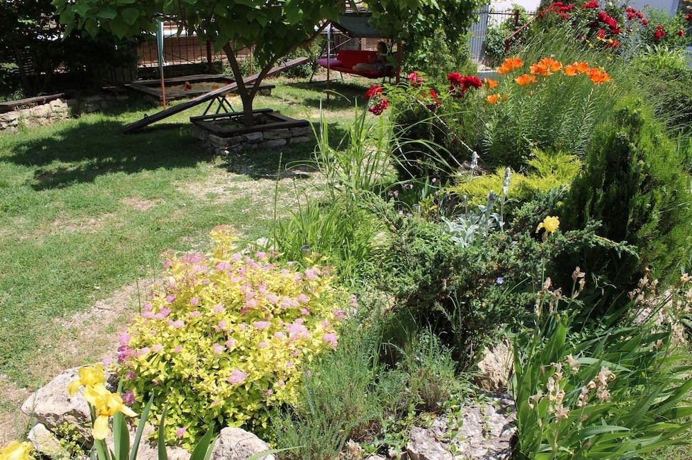 Photo 46