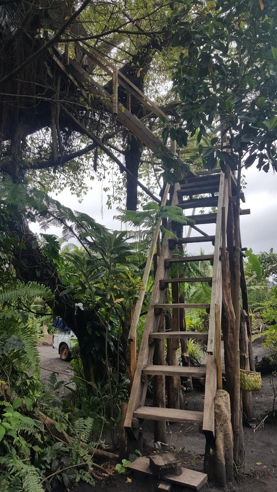 Castle Tree House