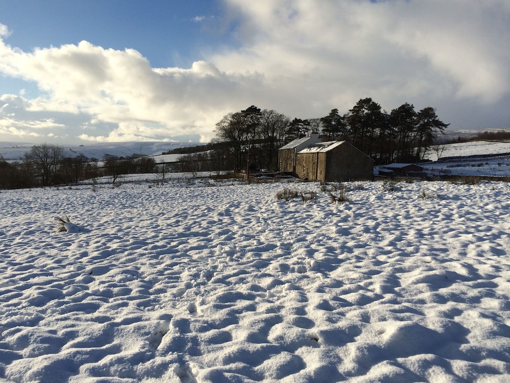 Dale House B&B