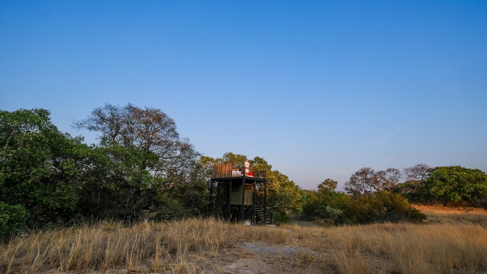Mukambi Fig Tree Bush Camp – All Inclusive