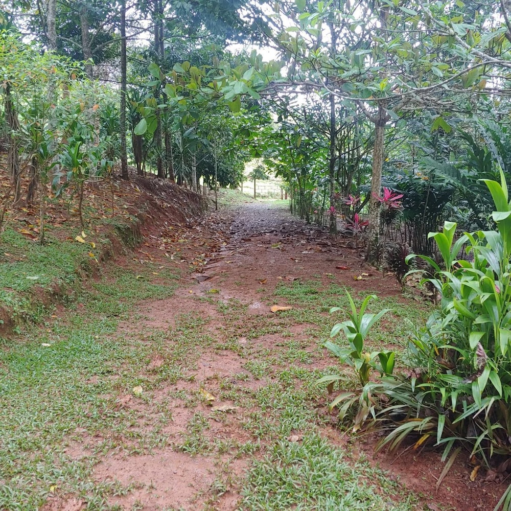 Photo 47