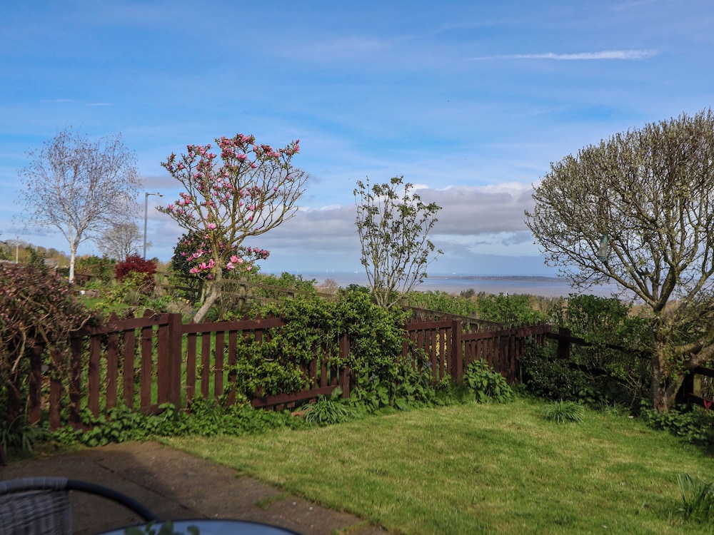Dolphin Bach, photo 21