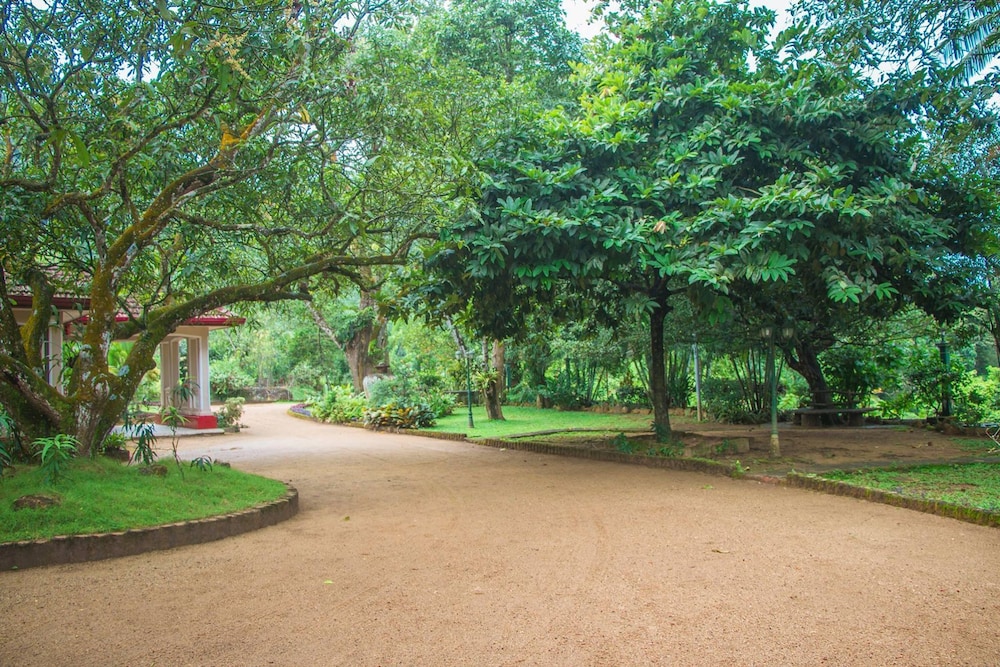 Randiya Epiliyagoda Resort view 5