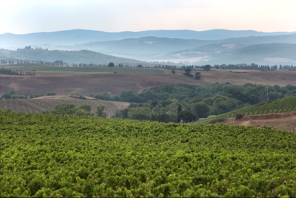 Agriturismo A. Bonacchi