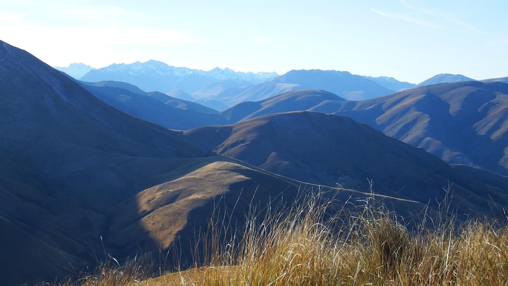 Dunstan Downs High Country Sheep Station