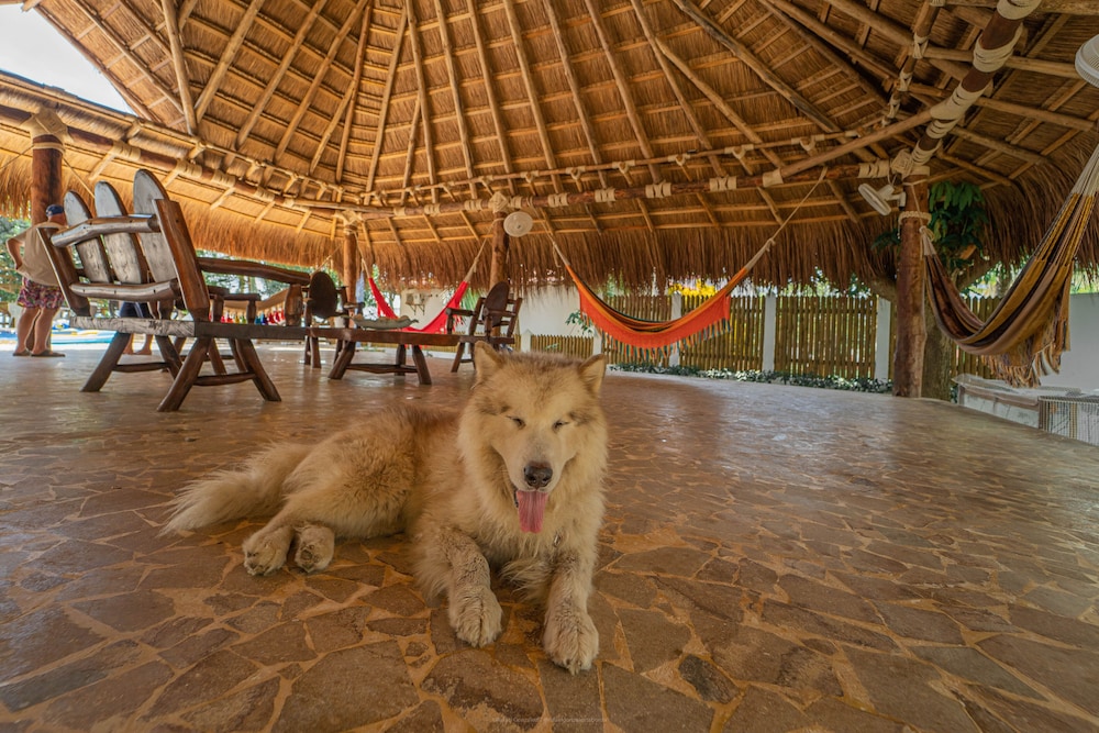 Villa El Francés 4BD WPool & Beach Front