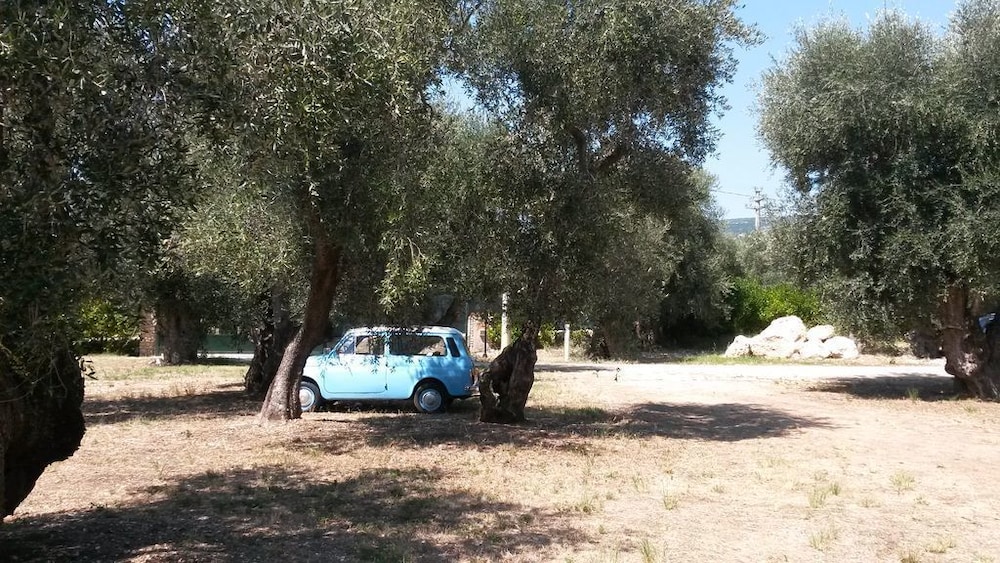 Tenuta Santa Maria
