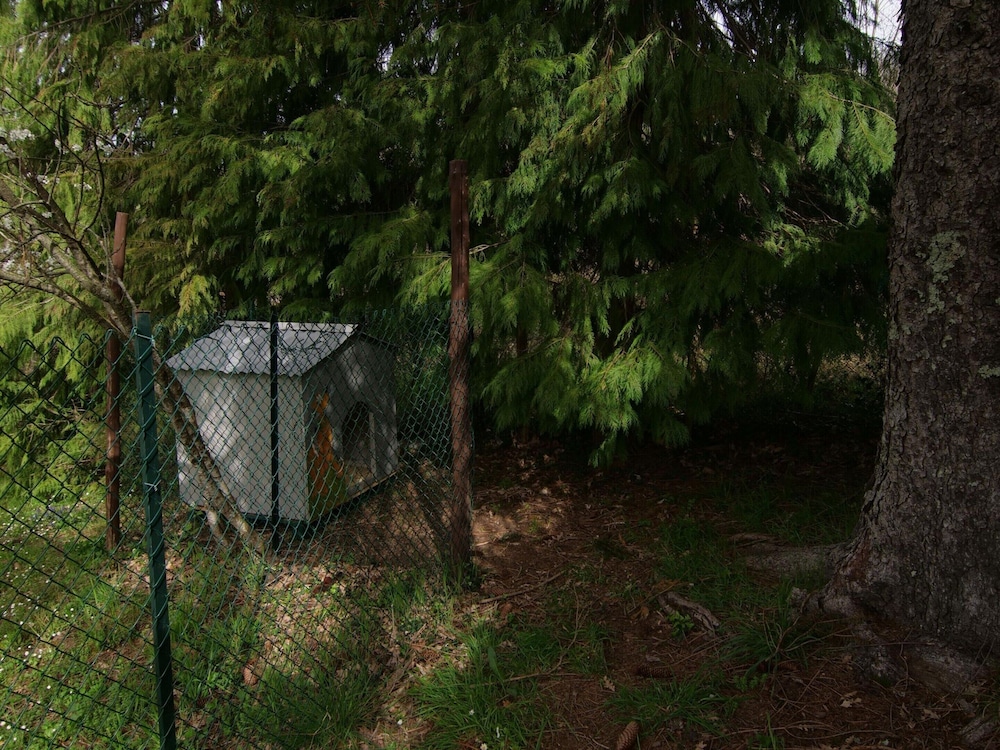 Photo 25