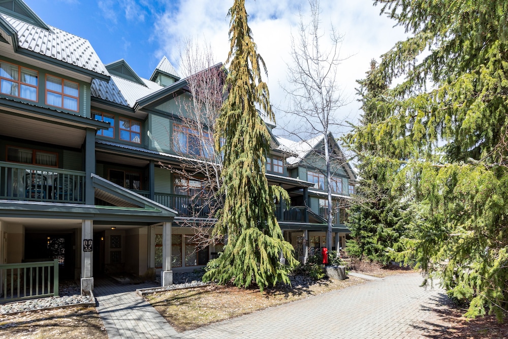 Northstar by Whiski Jack - Image 5