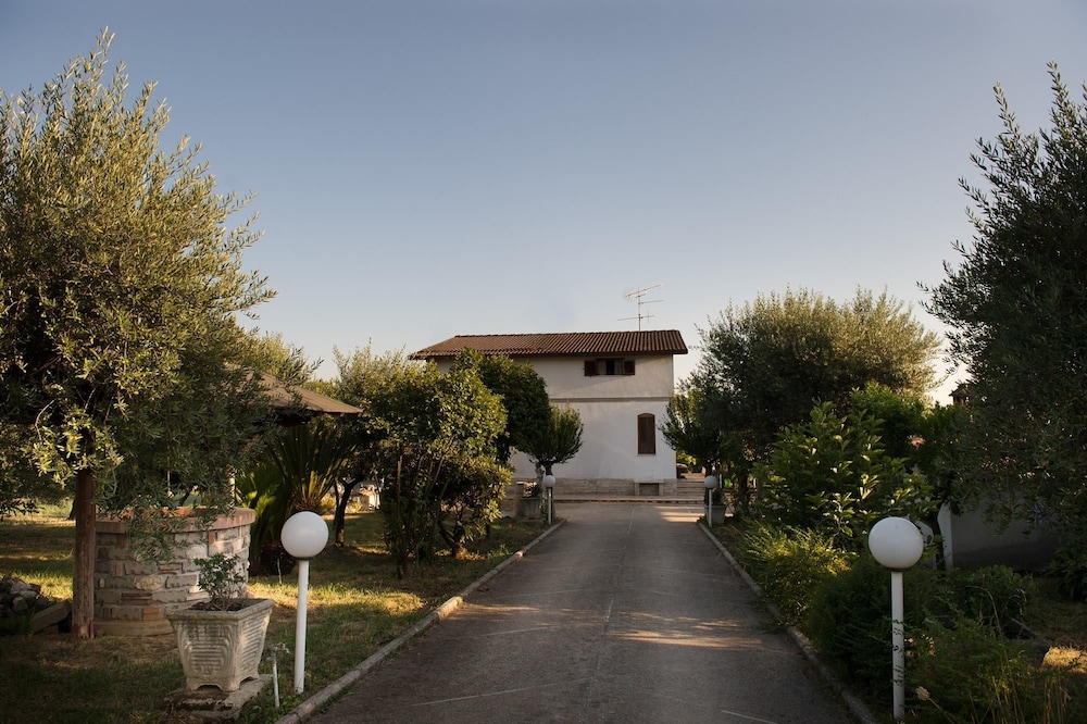 Photo 40