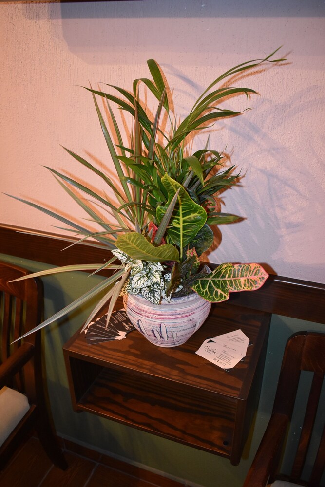 Photo 42