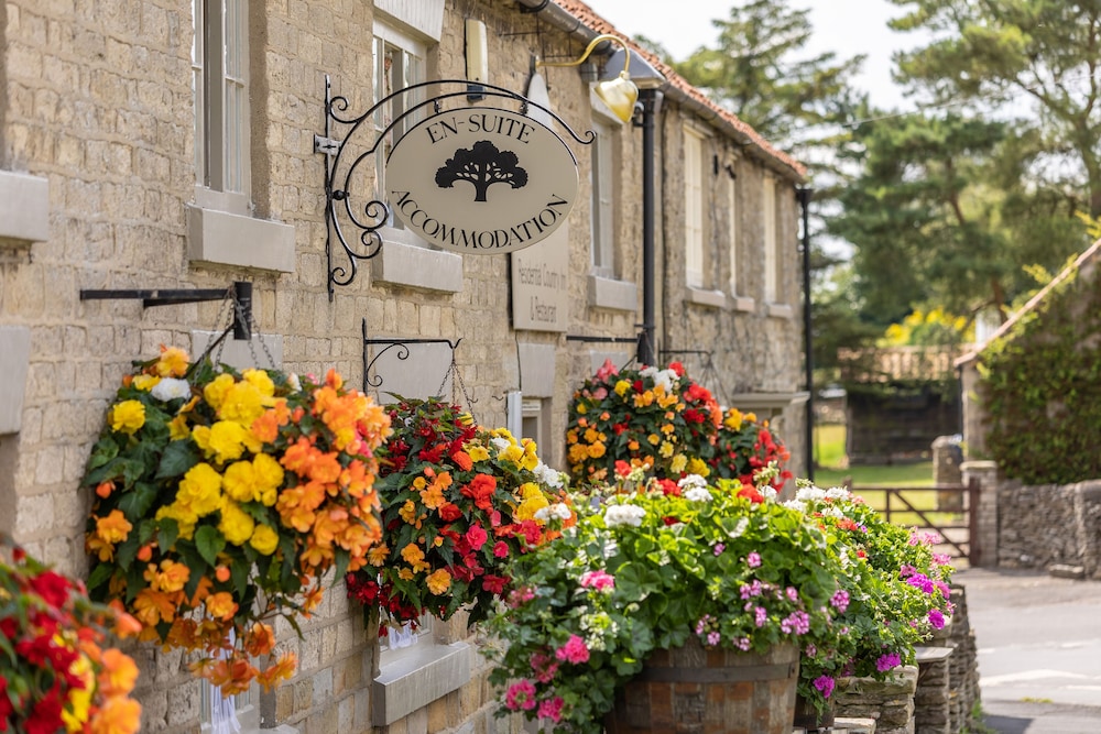 The Royal Oak Inn