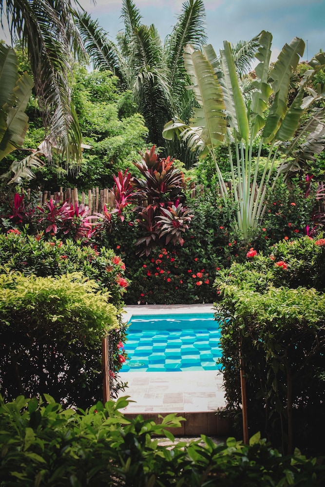 Prima Luna Palomino - Property Image 26