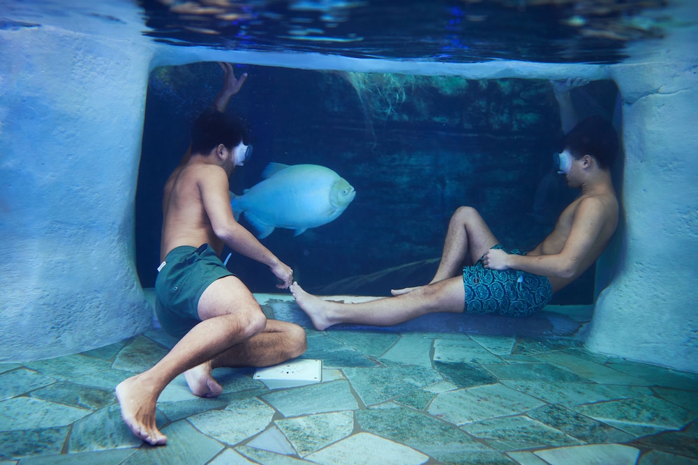 Center Parcs Le Bois aux Daims