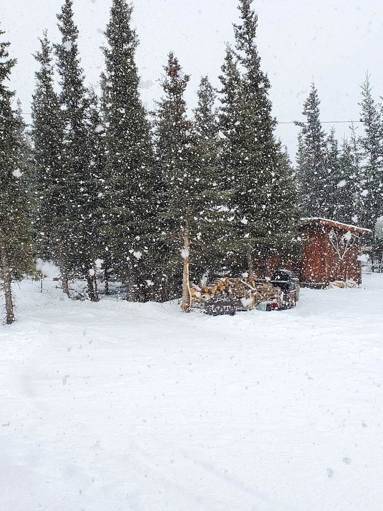 DENALI'S ALASKAN SPRUCE CABINS