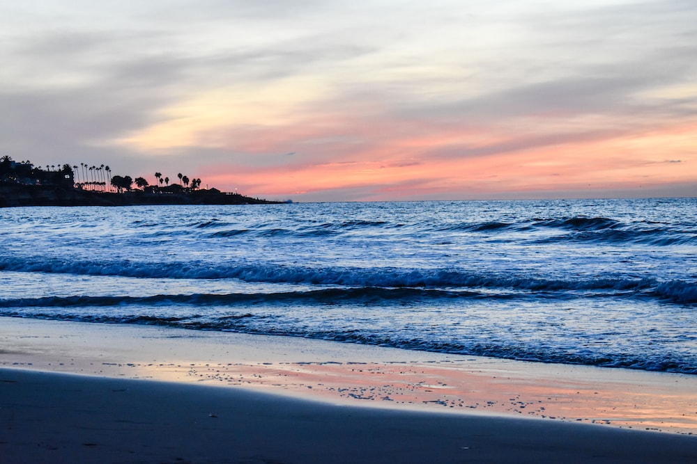La Jolla Beach and Tennis Club - Image 5