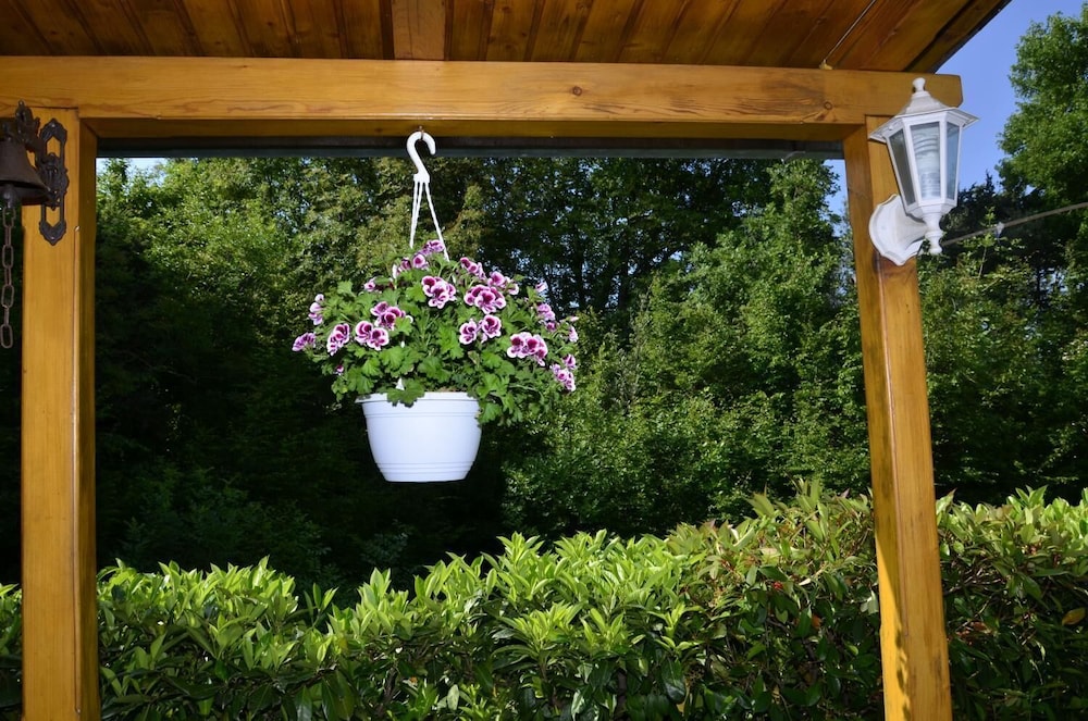 Apartment Blumen Oase view 4