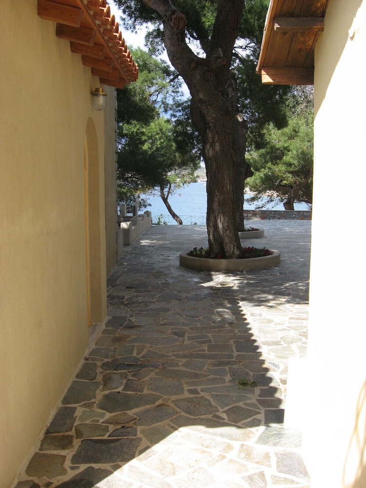 Photo 37