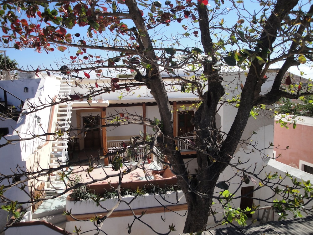 Jardim dos Aloés - Unique B&B, photo 109