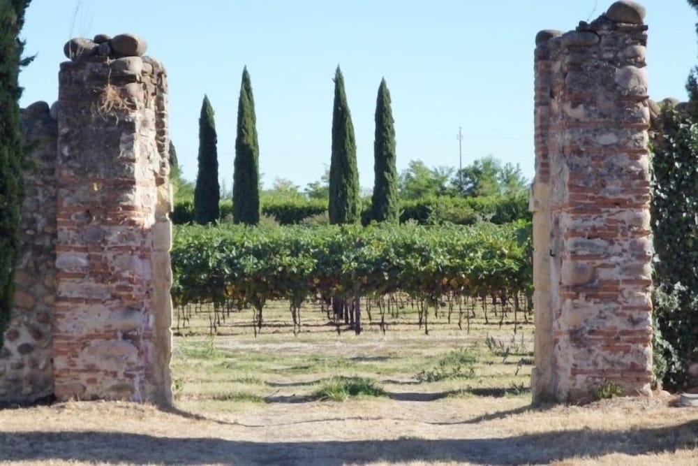 Villa Sagramoso Sacchetti