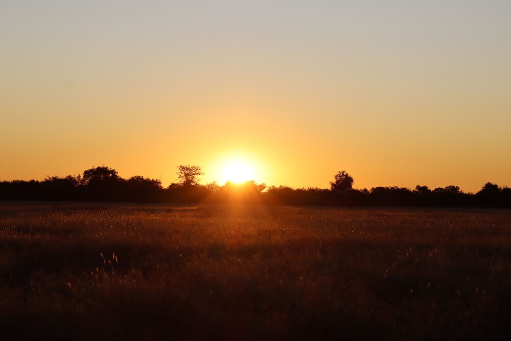 Omukuyu Wildlife Lodge