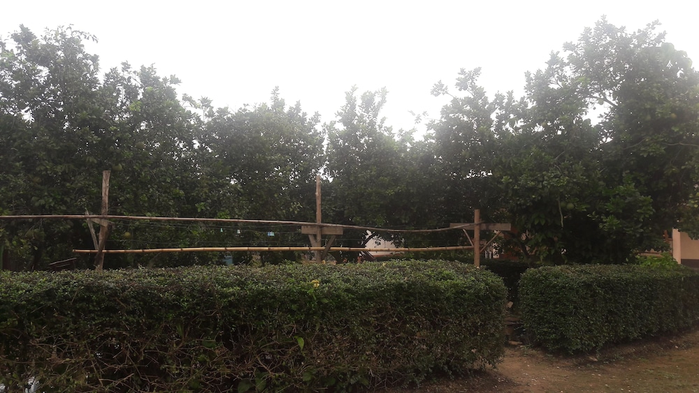 Photo 21