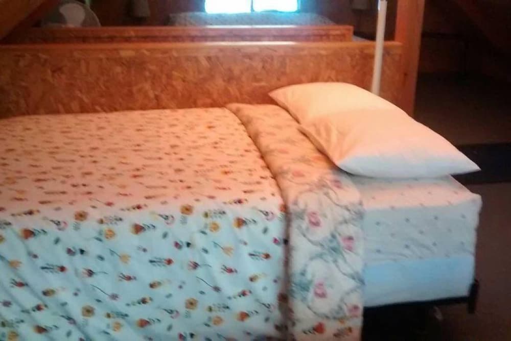 Papa`s Packwood Cabin view 4