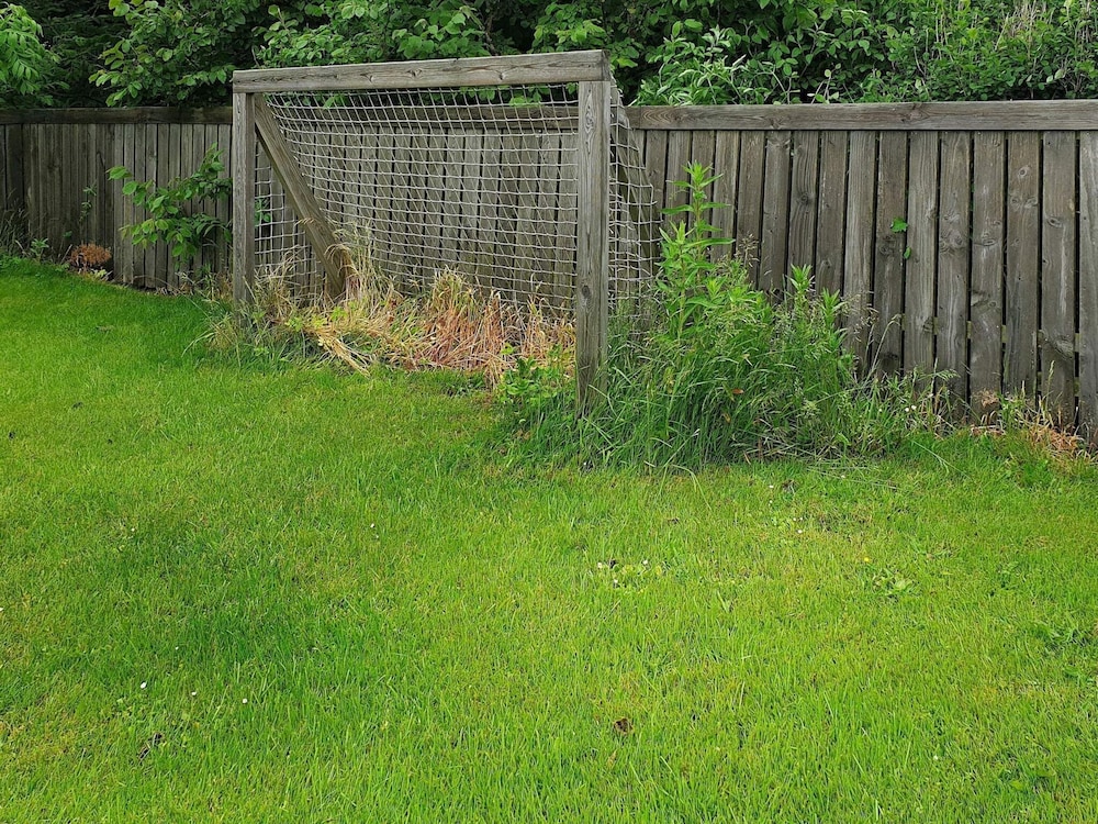 Photo 39