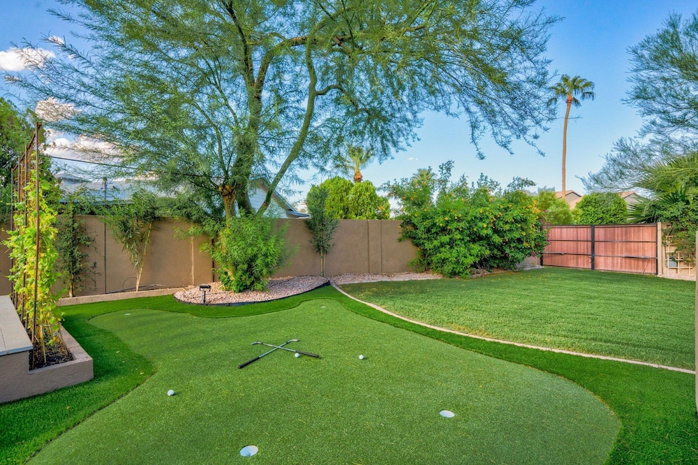 Chaparral in Paradise Valley