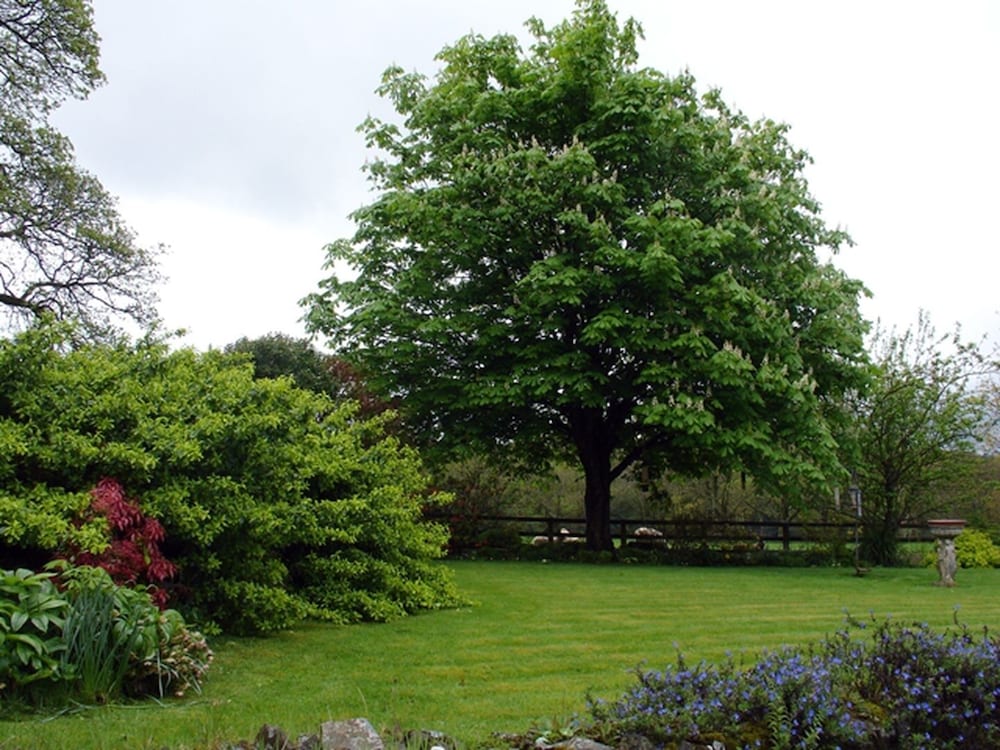 Yelverton Vacations - Burham Barn - Property Image 5