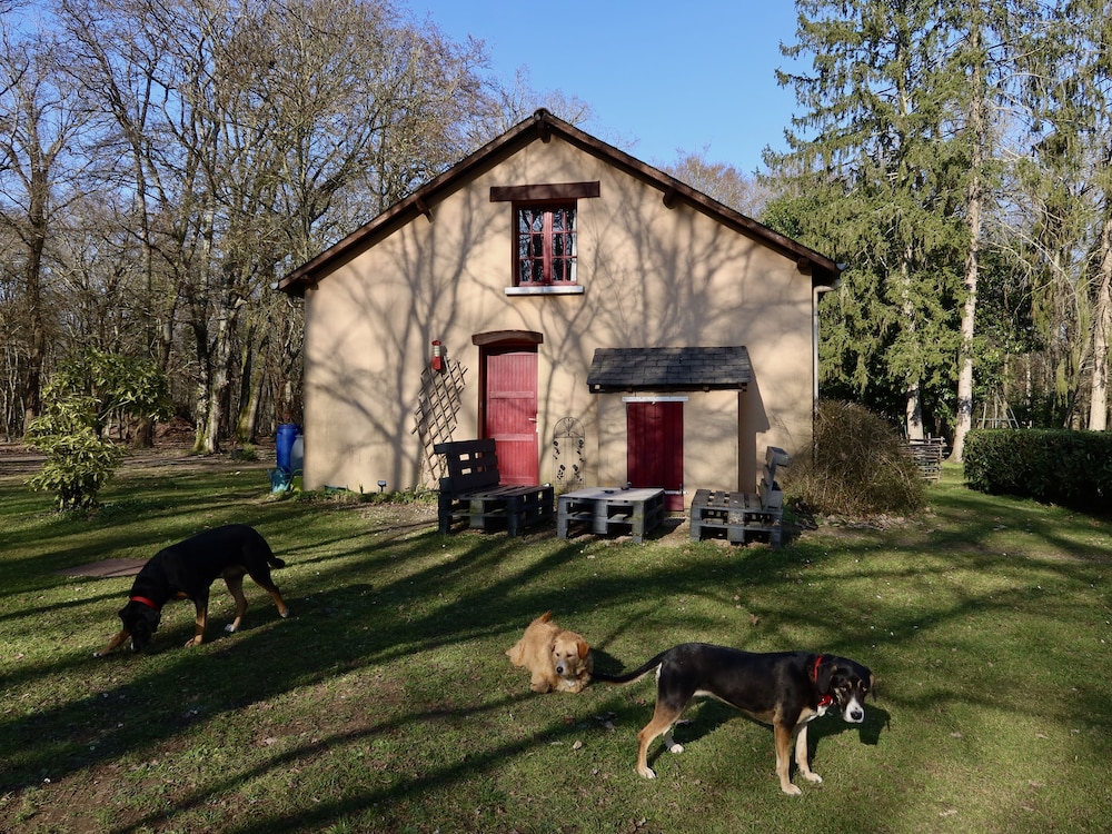 La Faisanderie en Saint-Florent-sur-Cher — other