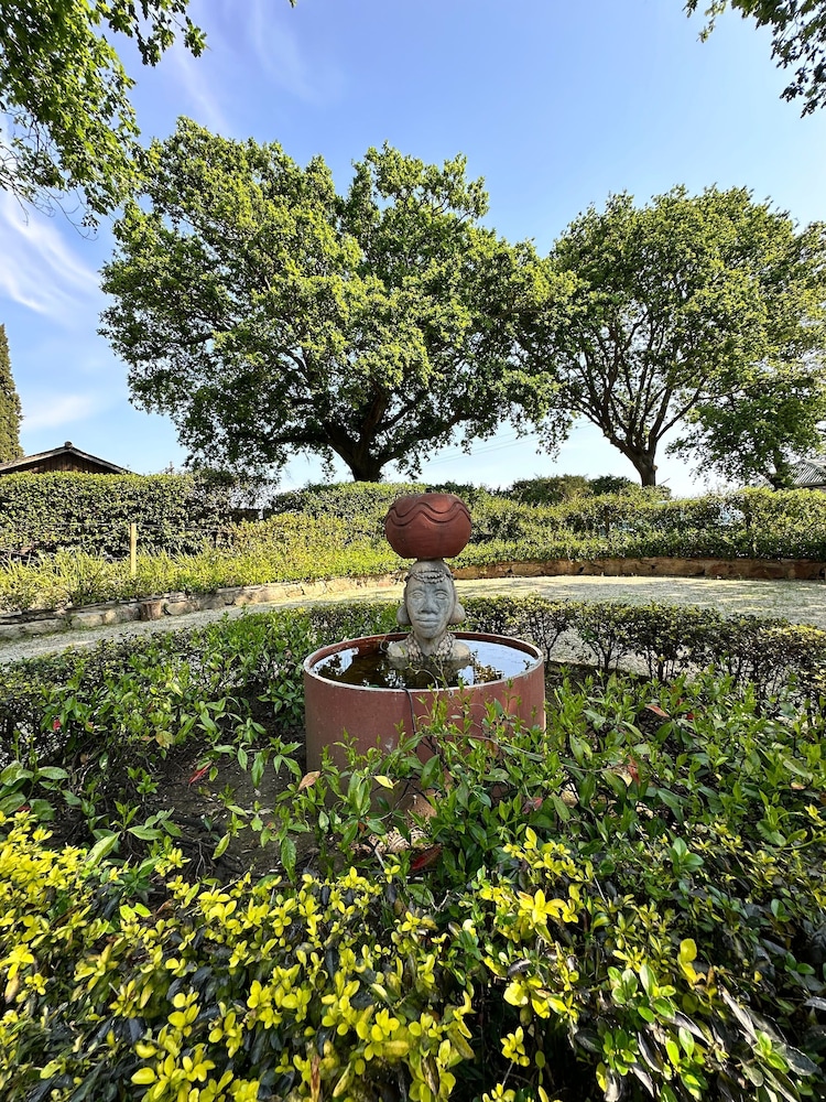 Blossom Cottage, Elgin Grabouw
