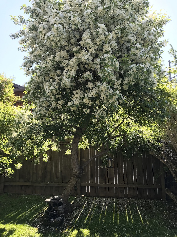 Gardenside Bed and Breakfast