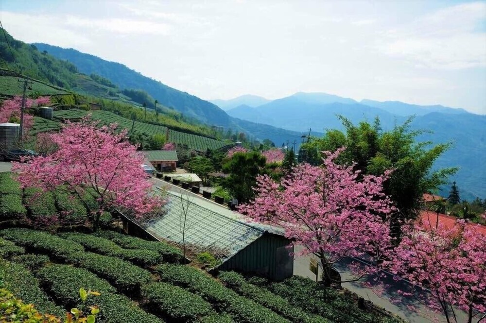 Shan Ming Show B&B