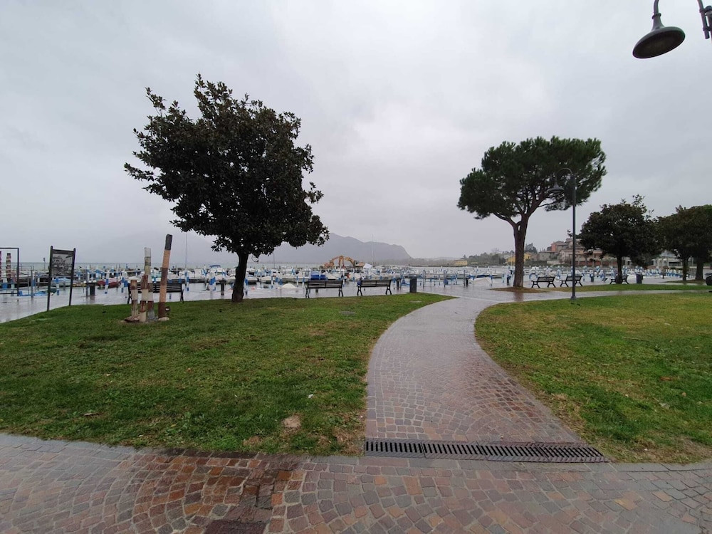 Photo 8